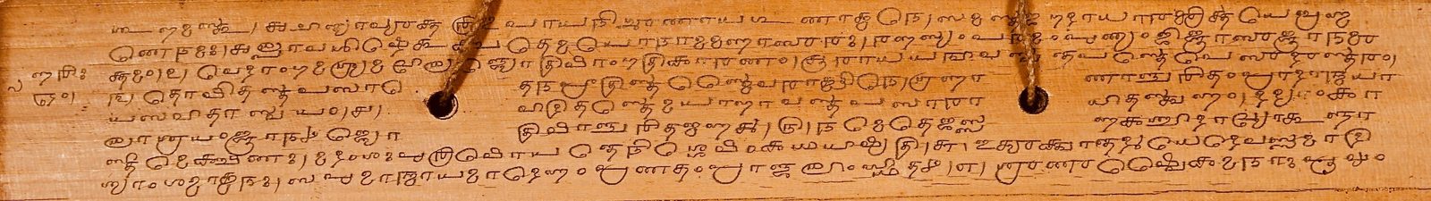 A single palm leaf photographed flat and filling the frame, its surface a warm honey brown with the grain running the length of the strip. Six close lines of rounded Grantha script are written across it in dark brown ink. Two round binding holes are punched through the leaf, each threaded with a pale twisted cord, and the writing runs around them. A ruled line closes the text block along the lower edge.