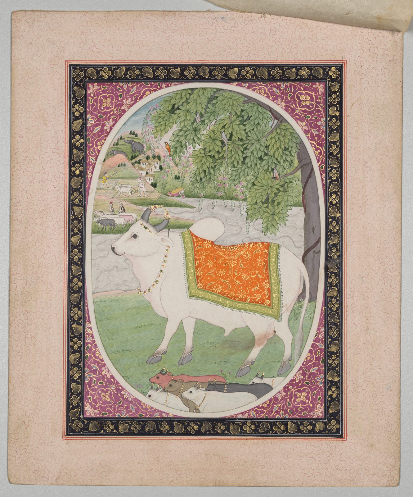 An Indian miniature painting set in an oval frame: a single large bull fills almost the whole oval, standing behind a much smaller herd of cows, painted in gum tempera and gold on paper.