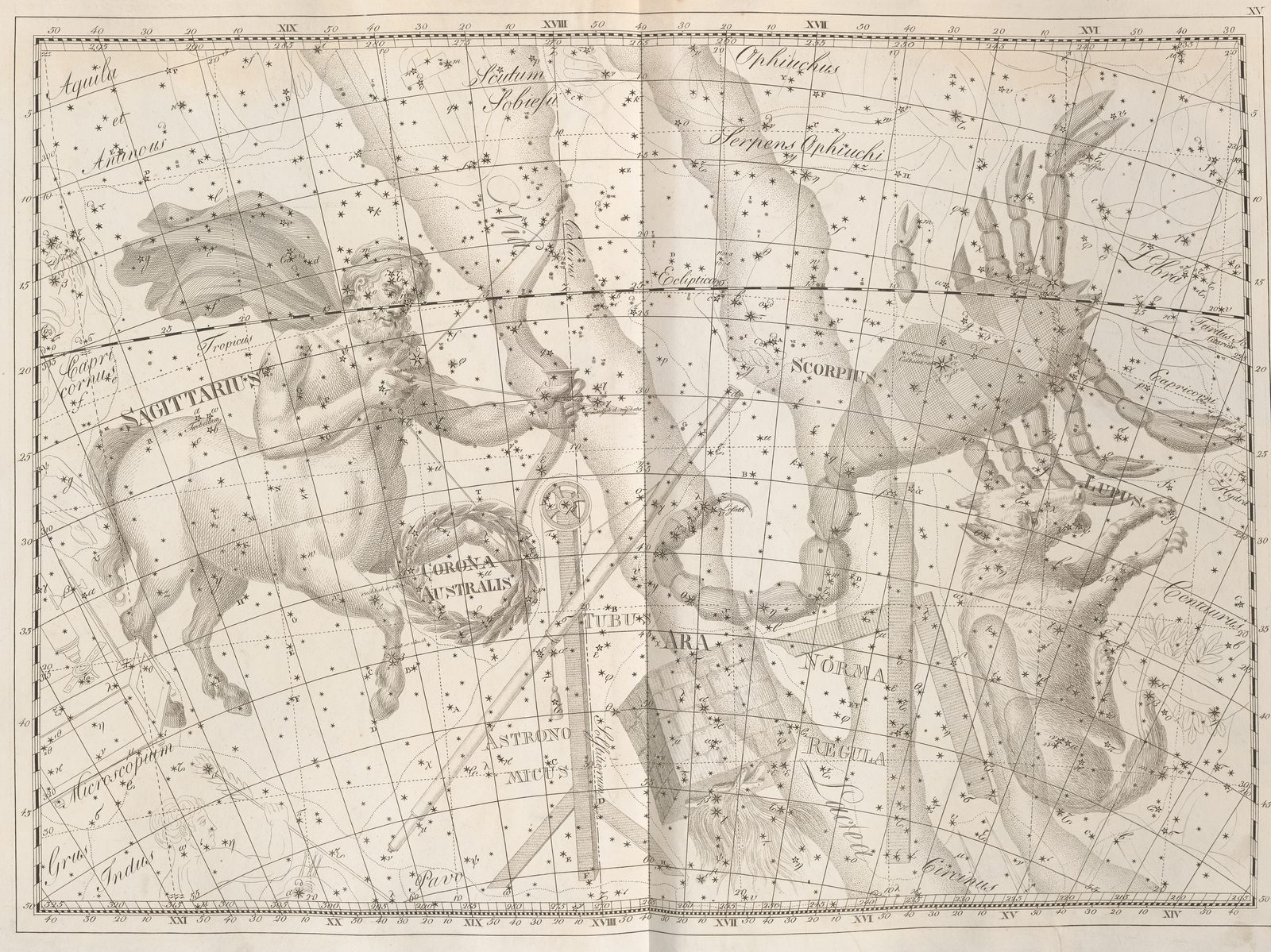 A large engraved star chart on pale paper, printed in fine black line. A scorpion is drawn across the left of the sheet with its claws raised and its long segmented tail curling away below, and a centaur archer with a drawn bow stands beyond it to the right. Stars are marked as dots of graded size, each with a letter beside it, over both figures and over the empty sky between them, on a ruled grid of celestial coordinates, with a stippled band of dense small stars running behind the archer.