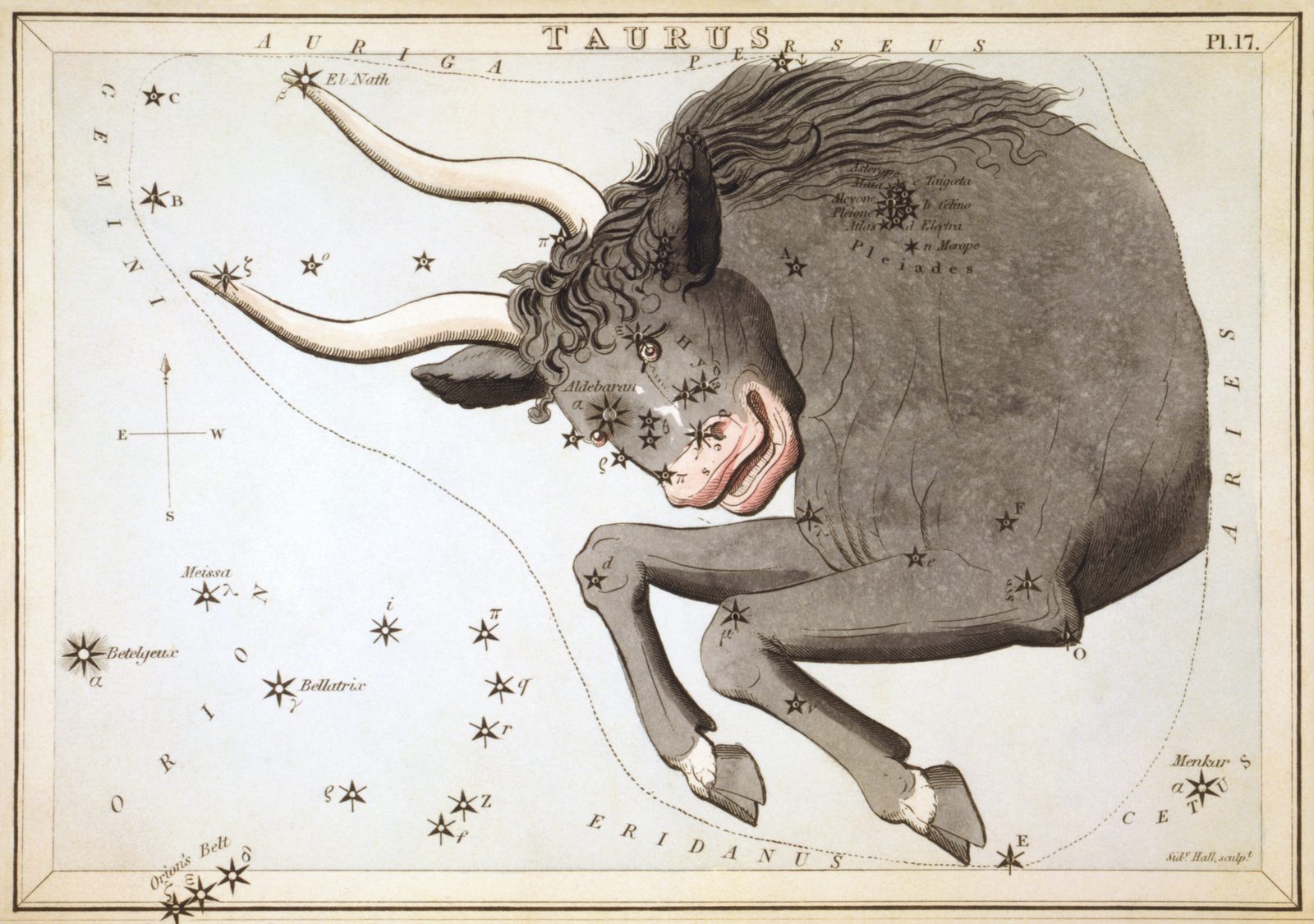 A hand-coloured nineteenth-century star chart showing the front half of a grey bull with long pale horns, lunging left out of a bank of cloud. Star symbols mark Aldebaran in the eye and the scattered Hyades across the face; a tight cluster on the bull's shoulder is labelled Pleiades, with the individual names Alcyone, Merope, Electra, Maia, Taygeta, Asterope, Celaeno, Atlas and Pleione written beside the stars. Orion's stars are drawn at the lower left.