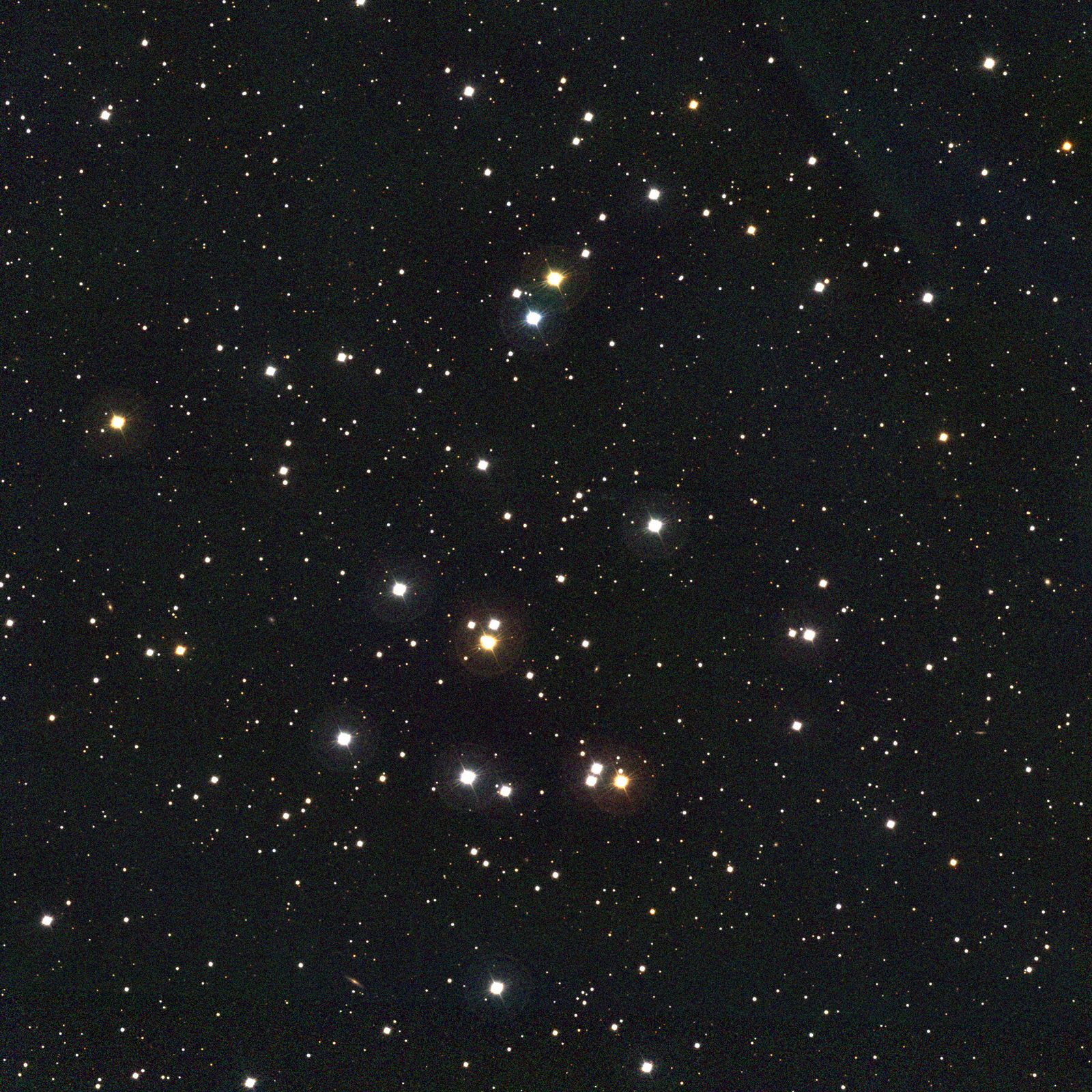 A square colour photograph of an open star cluster on a black sky. A loose, wide scattering of white and blue-white stars of similar brightness spreads across the middle of the frame, a few of them yellow or orange, with thousands of much fainter background stars filling the rest of the field.