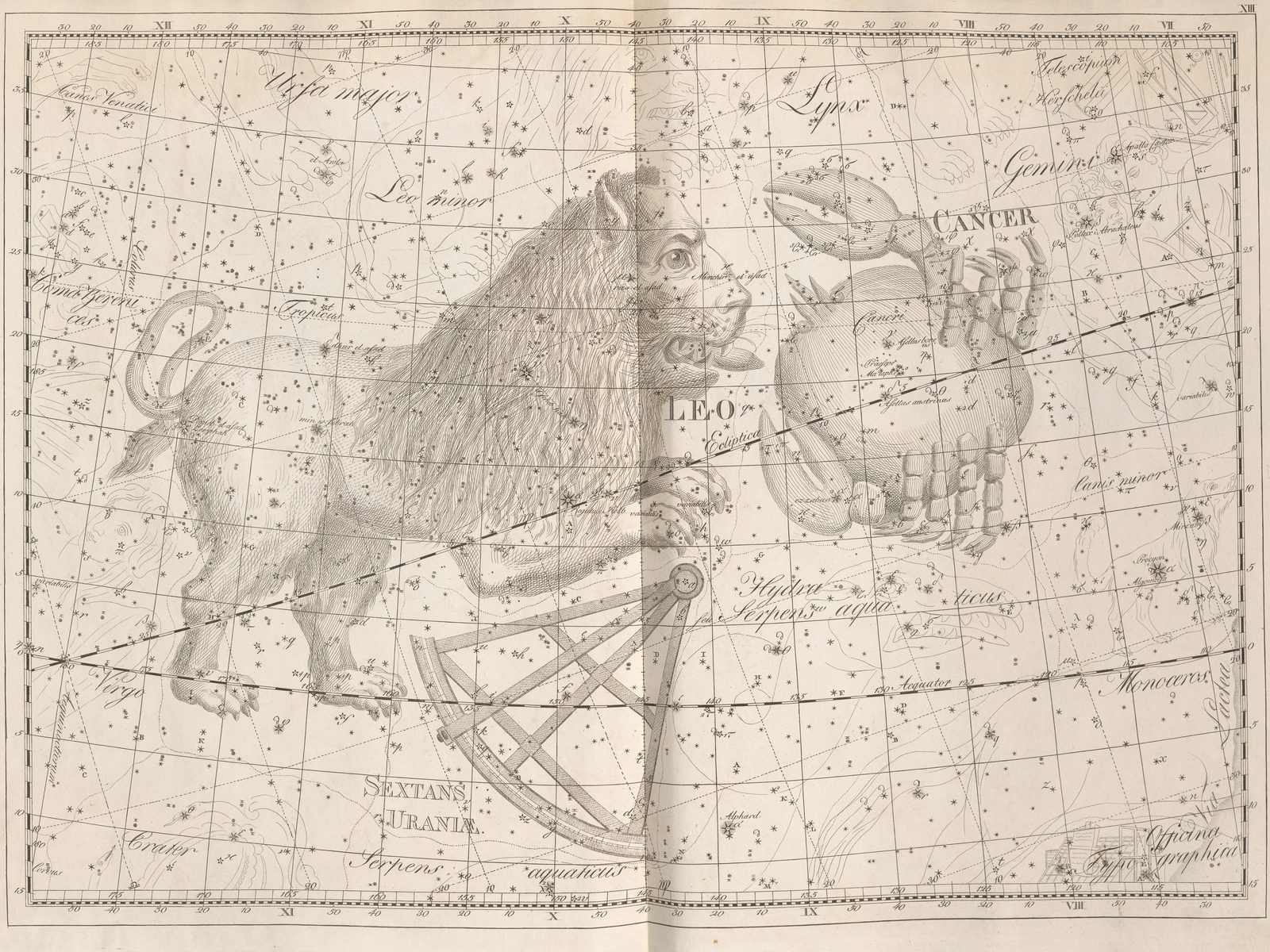 An engraved star chart on pale paper. A lion is drawn in fine outline across most of the sheet, with a crab drawn to one side of it. Stars are marked as dots of graded size over both figures and over the empty sky between them, each with a letter beside it, on a ruled grid of celestial coordinates.