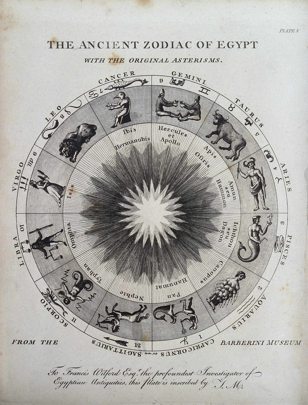 A black and white engraving on aged, lightly stained paper, taller than it is wide, marked Plate V at the top right. The heading reads THE ANCIENT ZODIAC OF EGYPT, and under it, in smaller italic capitals, WITH THE ORIGINAL ASTERISMS. Most of the sheet is one large circle cut by ruled lines into twelve equal wedges. Around the outer rim each wedge carries the Latin name of a zodiac sign in capitals, its written symbol, and a number from one to twelve: Aries, Taurus, Gemini, Cancer, Leo, Virgo, Libra, Scorpio, Sagittarius, Capricornus, Aquarius, Pisces. Inside each wedge a small creature is drawn along the rim, a lion for Leo and a long crab for Cancer among them, and below it sits a larger figure in Egyptian dress, some of them with animal heads. A ring of Latin names runs nearer the middle, among them Ibis, Hermanubis, Hercules et Apollo, Apis seu Osiris, Canopus, Typhon and Anubis. At the centre a many-pointed star burst throws fine ruled lines outward across the wedges. Along the bottom of the circle are the words FROM THE BARBERINI MUSEUM, and beneath it a line of engraved script inscribing the plate to Francis Wilford.