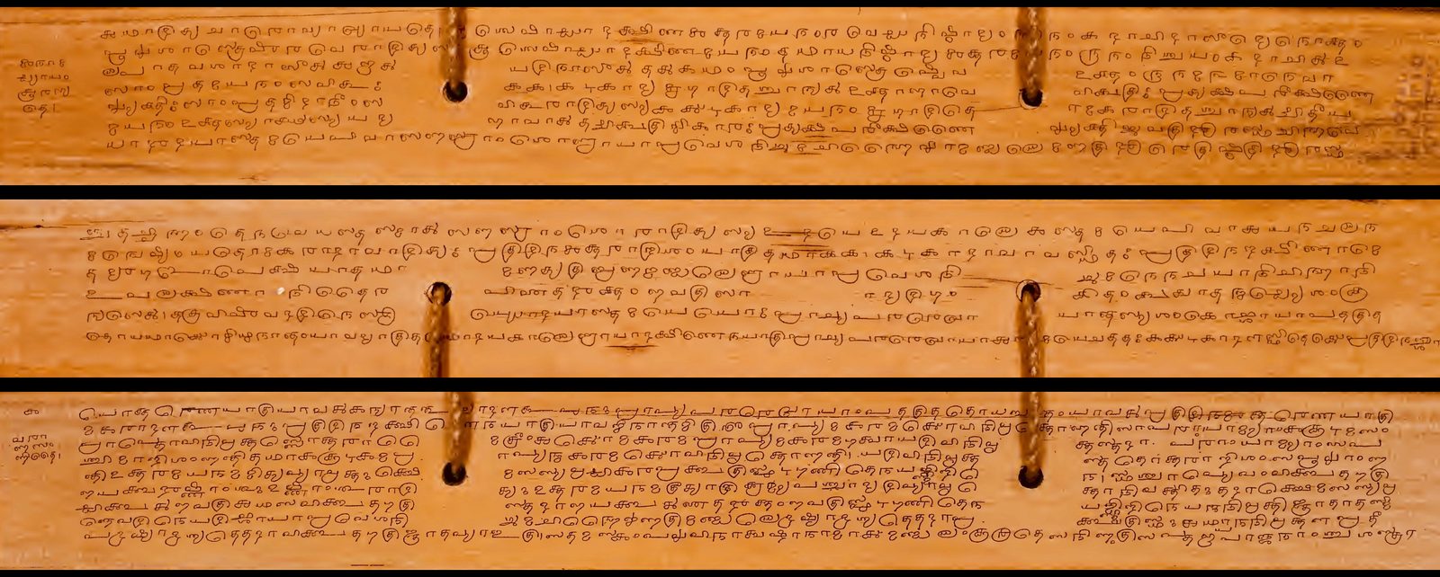 Three long, narrow palm-leaf strips laid one above another and filling the frame, photographed against a dark ground. Each honey-coloured leaf is closely written in six or seven lines of rounded Grantha script, the letters incised and darkened with soot. Two round string holes are punched through each leaf with a pale cord passing through them, and short lines of smaller writing stand in the margins at either end.