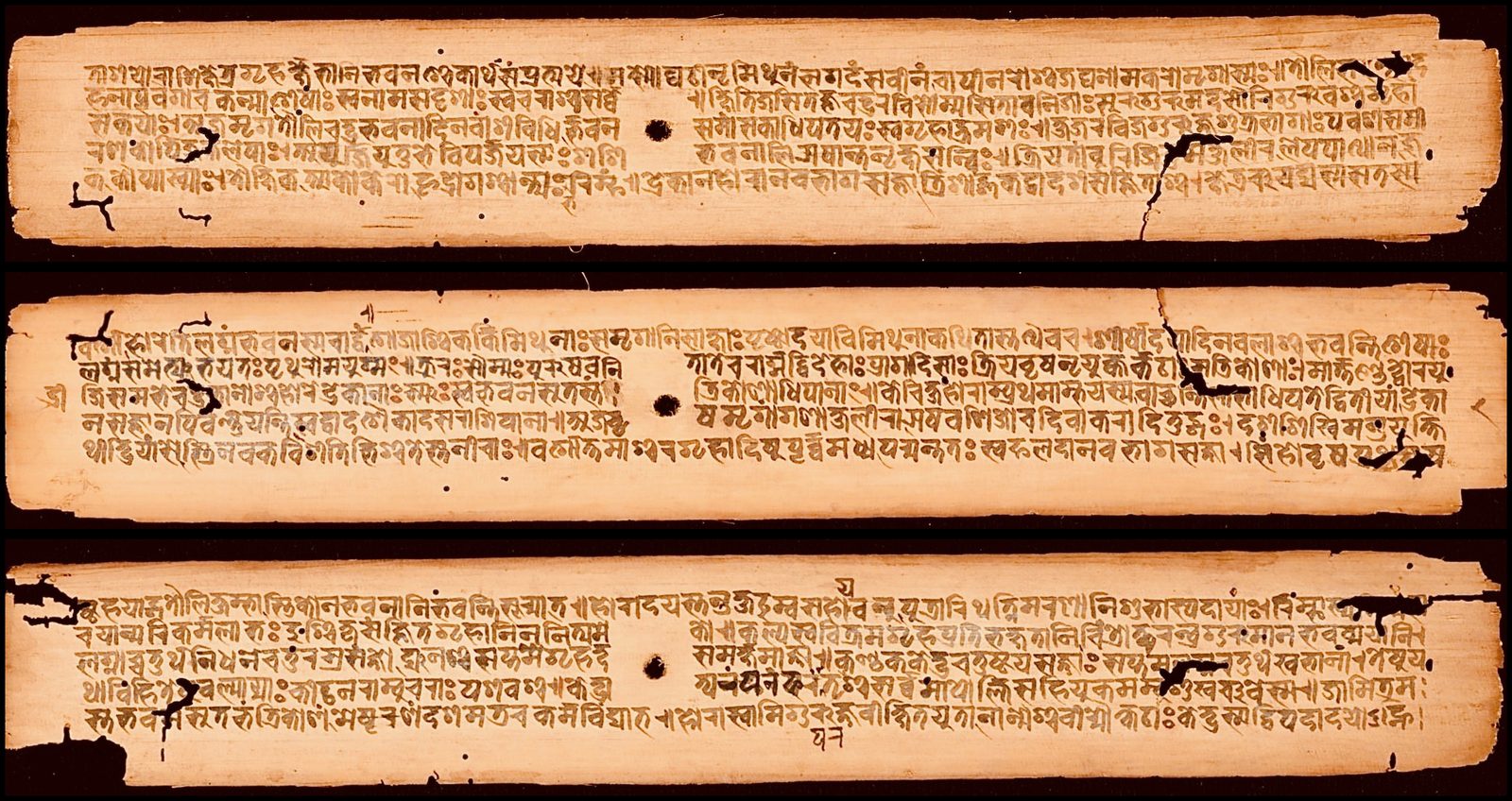 Three long, narrow palm-leaf manuscript folios laid one above another and photographed against a black ground. Each leaf