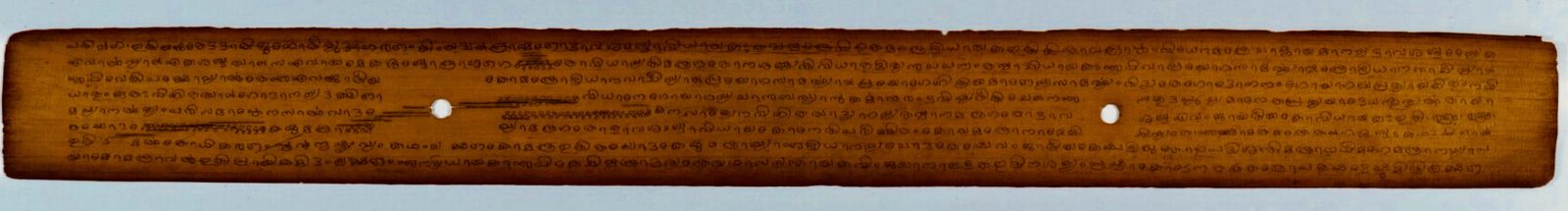 A single long palm-leaf manuscript folio photographed flat and filling the frame, many times wider than it is tall. Close lines of Sanskrit in rounded Malayalam letters run the whole length of the leaf.